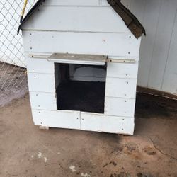 Home Made Dog House