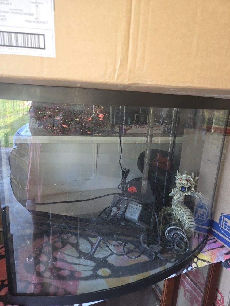 Bow Front Aquarium 