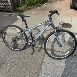 Giant Boulder Mountain Bike