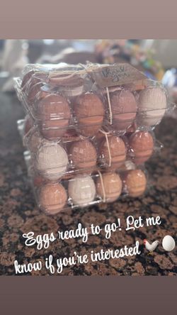 Chicken Eggs (organic)