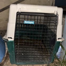Dog Kennel 