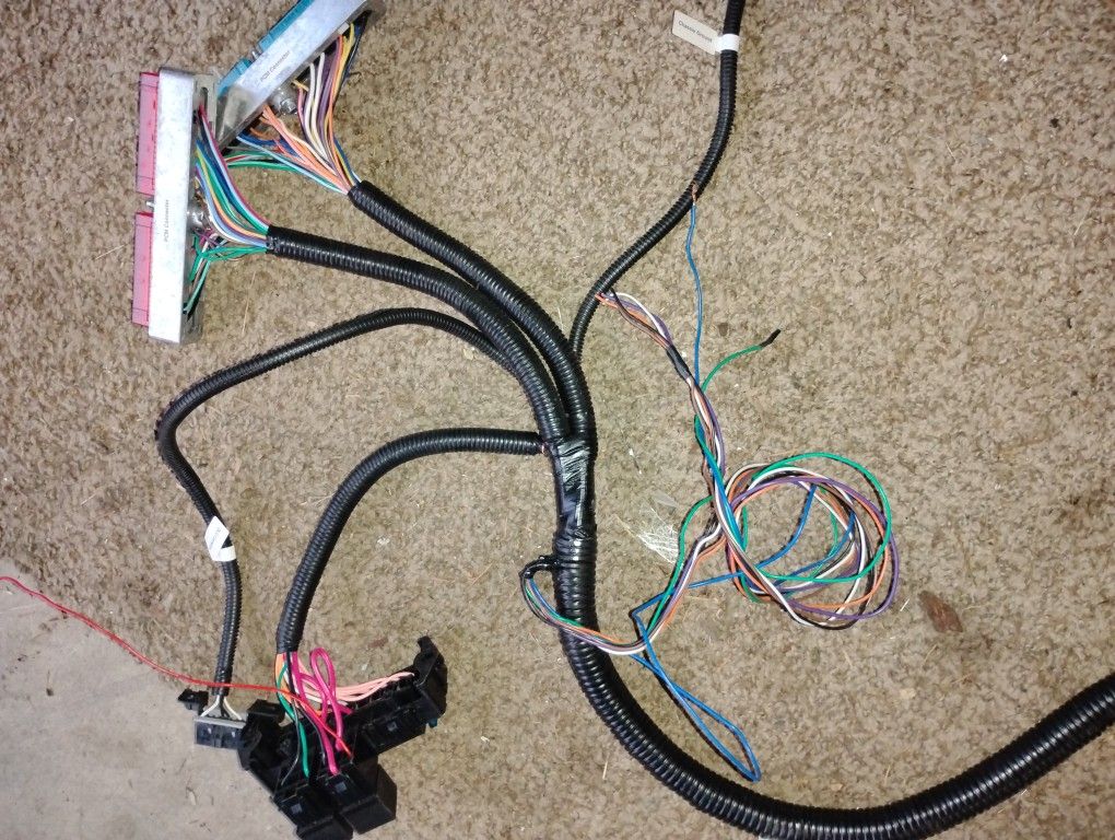 LS Swap Standalone Harness And ECU Jegs