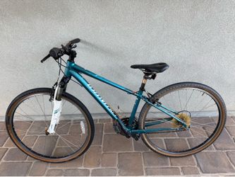 Specialized mountain bike