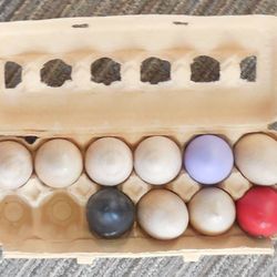 wood eggs in carton $5 everson

