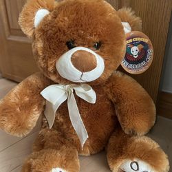 Fluffy Cute Brown Teddy Bear 