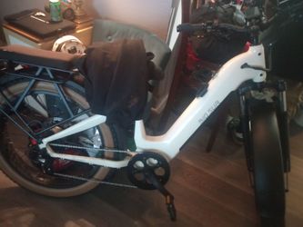 Big sur aima e bike