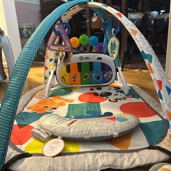 Baby Einstein Play Gym