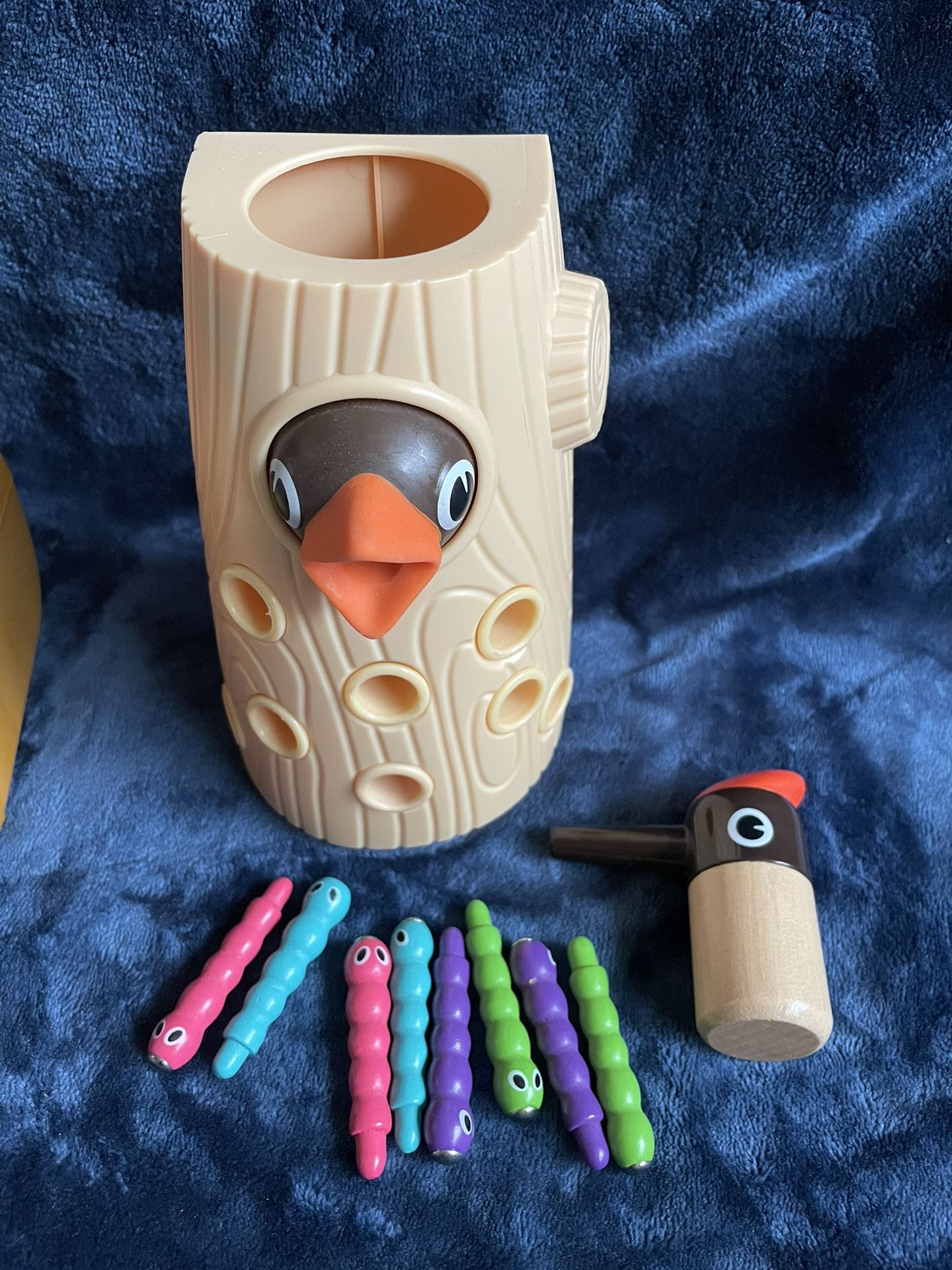 Magnetic Bird Worm Catching Game