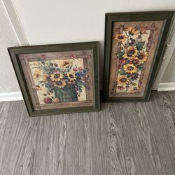 Sunflower Pictures