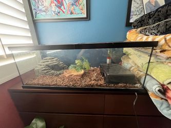 Reptile Cage