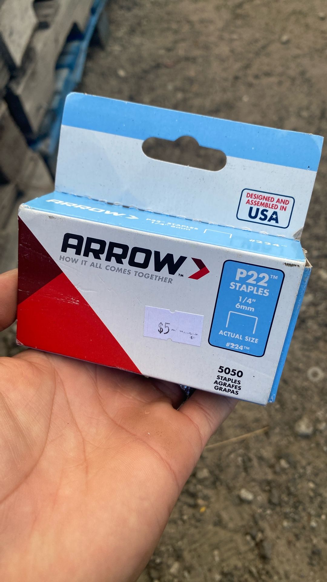 Arrow Fastener P22 1/4 in. L x 7/16 in. W Steel Medium Crown Staples 24 Ga.