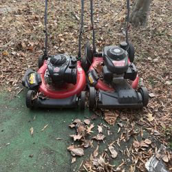 Two Lawnmowers Chainsaw Weed Eater 