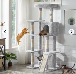 Cat post