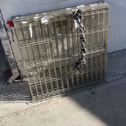 Dog Kennel 