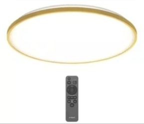 Europa 21 in. Gold LED 3CCT Flush Mount Ceiling Light with Night Light Preset and Remote Included