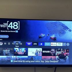 LG 55" Smart TV