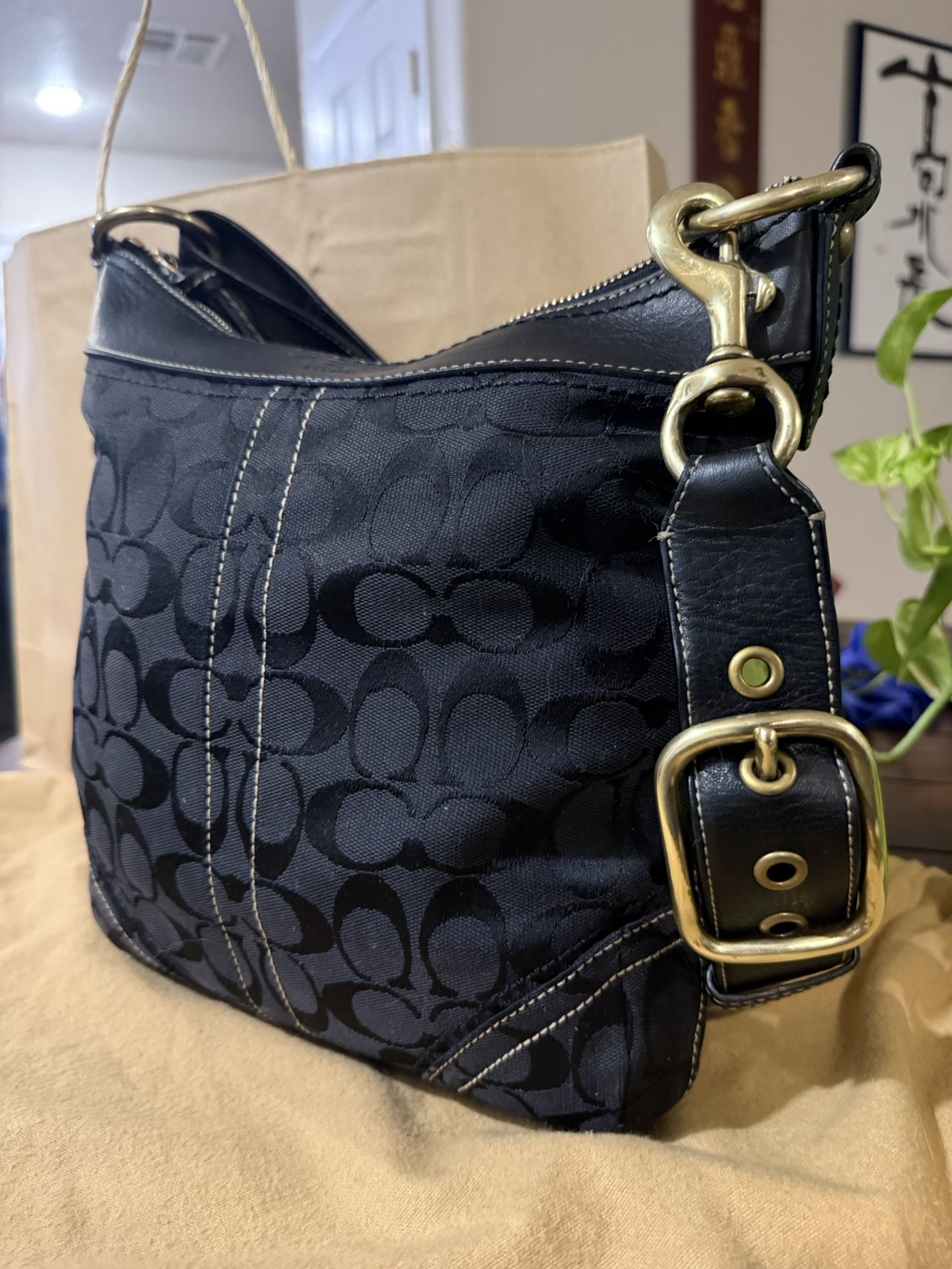 Coach Hobo Bag