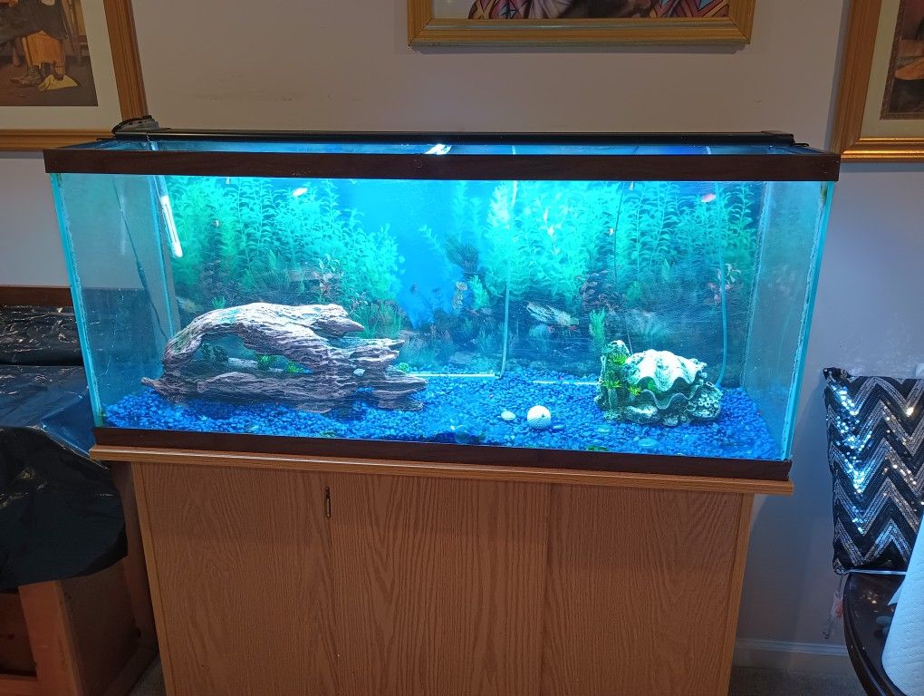 75 Gallon Aquarium 4sale
