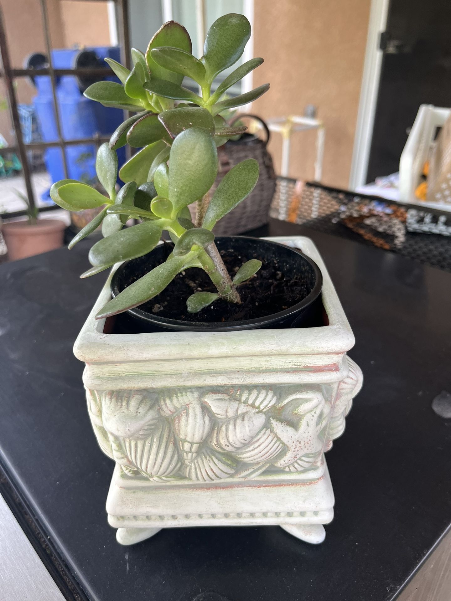 Love ❤️ Jade . Long 5 Inches, Width 5 Inches, Hight 5.5 Inches