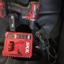Skil 12v Drill Driver 