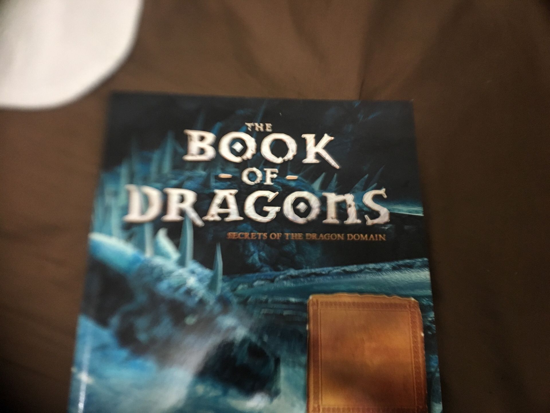The Book OF Dragon