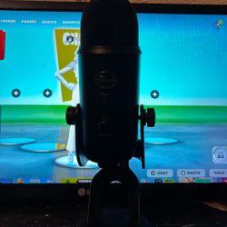 Blue Yeti Mic