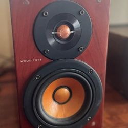 JVC WX-A10 Wood Cone Stereo