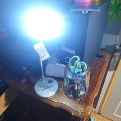 Lamp And Phone Mount.  