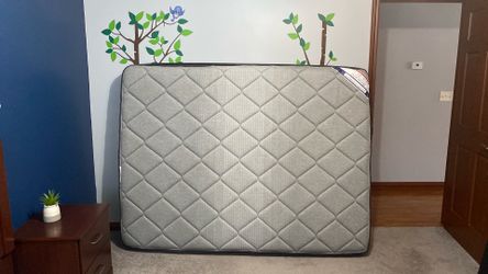2 Queen mattresses like new!