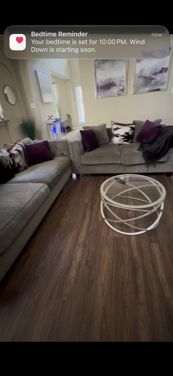 Couch and love seat and coffee table