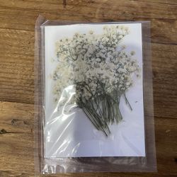 Mini Dried Babys Breath Flower