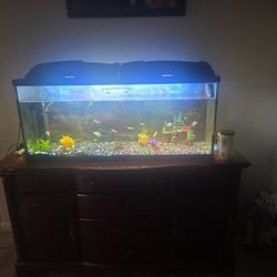 55 Gallon Aquarium