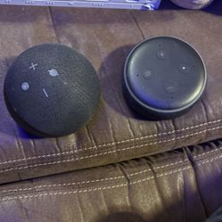 Possibly Working Alexa And Eco