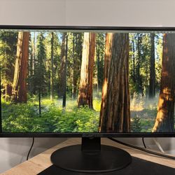 24” Sceptre Gaming Monitor