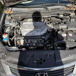 2010 Honda Accord