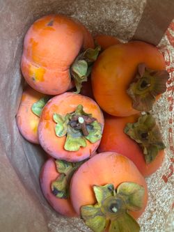 Organic Persimmons