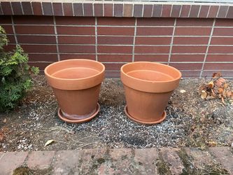 Two 12 inch terracotta pots