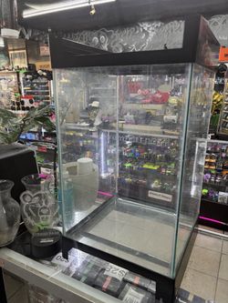Fish tank