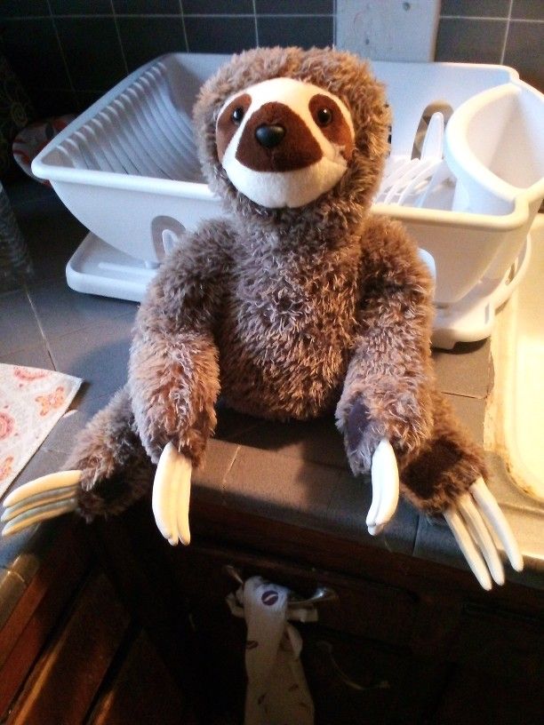 Stuffed Animal