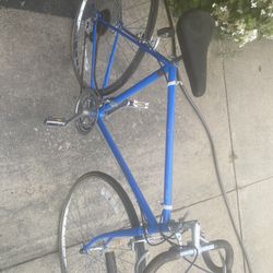21 Speed Bicycle 