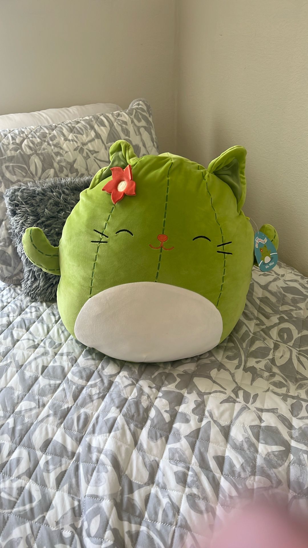 Cat Cactus Squishmallow