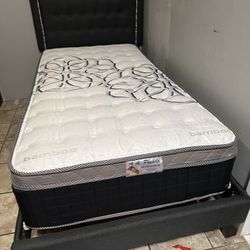Twin Size Mattress Only 