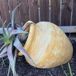 Ceramic Planters