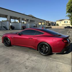 Mustang Wheels Rims/Tires