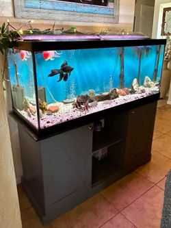 Aquarium