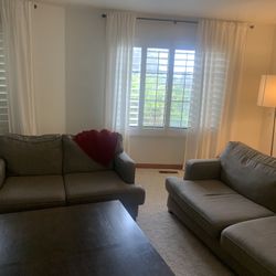 Free Sofa Couch And Loveseat 
