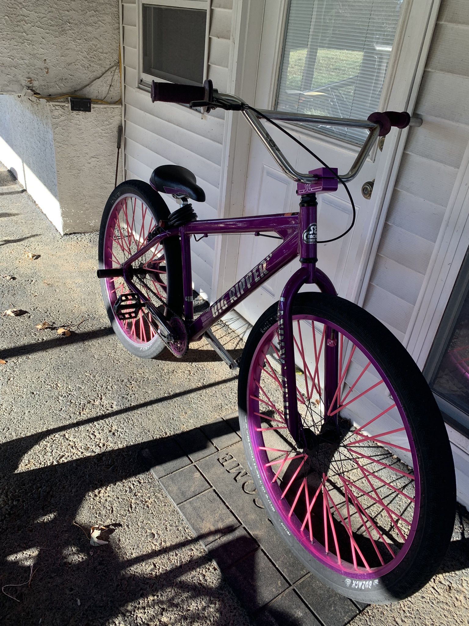 2020 purple rain big ripper