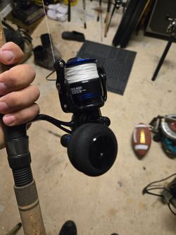 Snook,redfish,tarpon set up