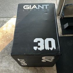 Giant Lifting Soft Plyo Jump Box Barley Used Rogue Fitness