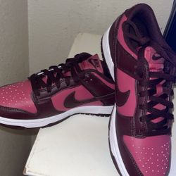 Brand New Nike Dunks